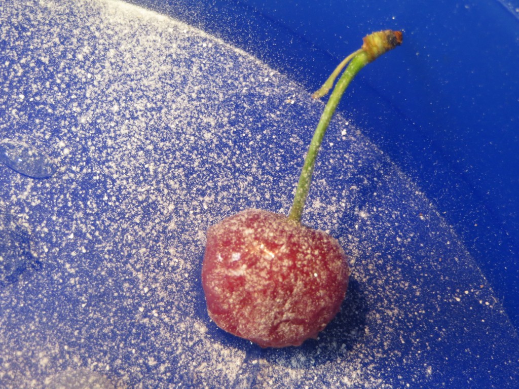cereza espolvoreada con azúcar glacé