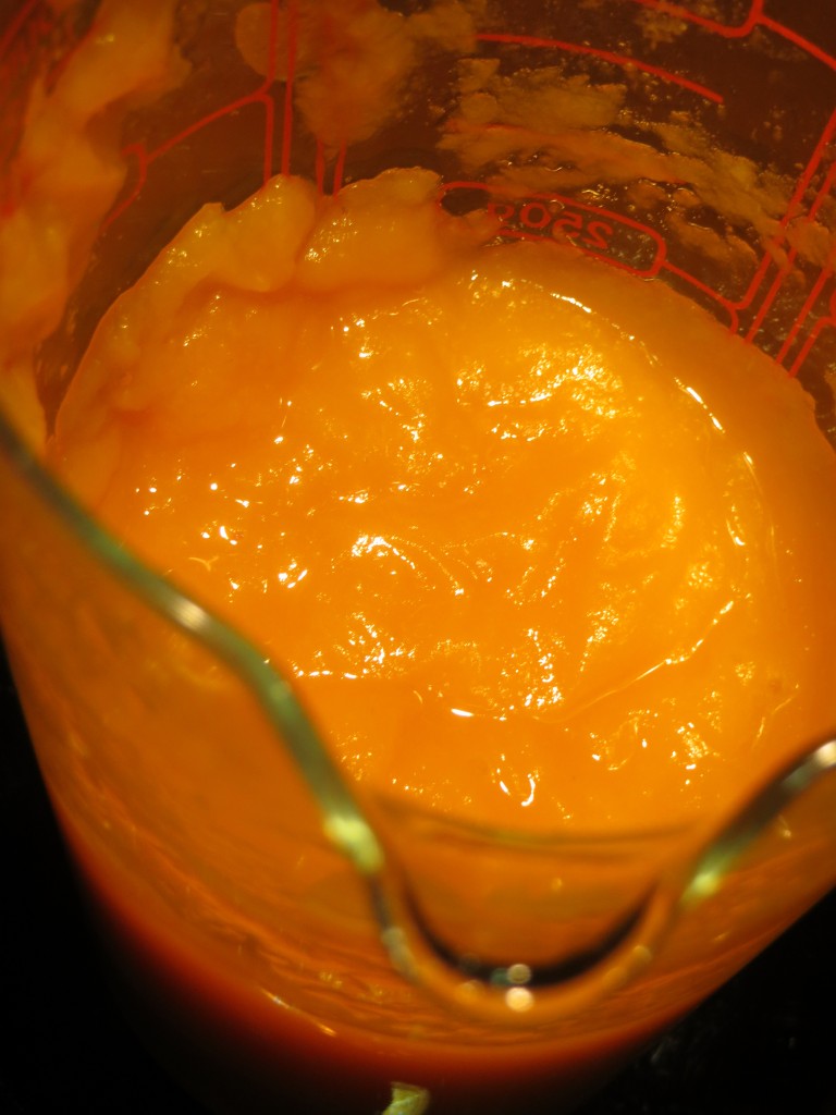 crema de zanahorias acabada de triturar