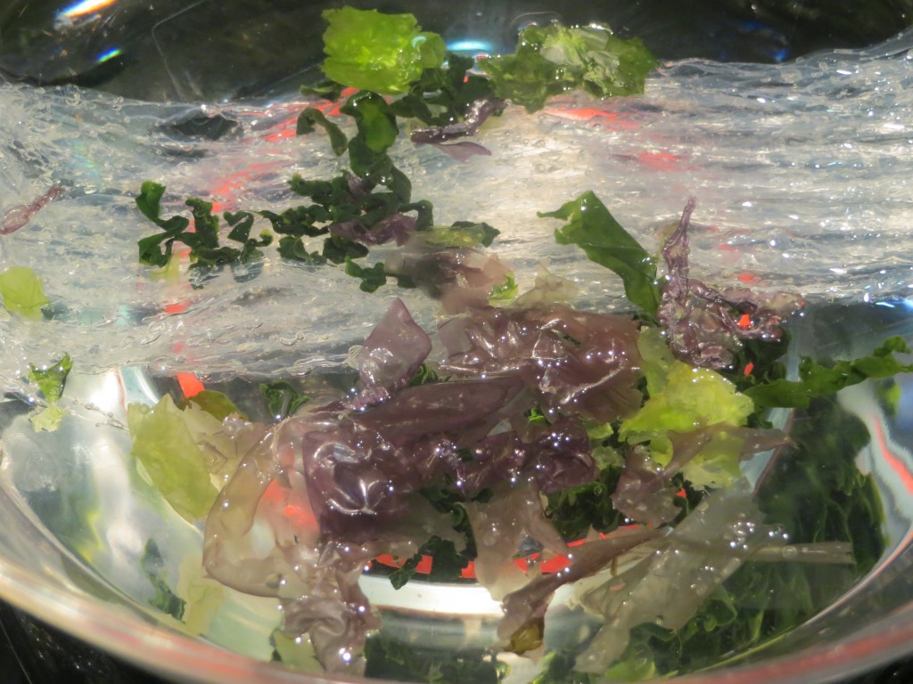 algas dentro del bol con agua y sal