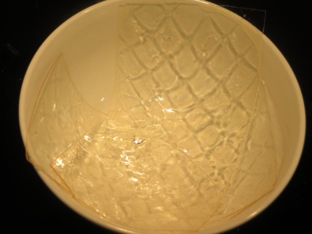 gelatina dentro del bol con agua