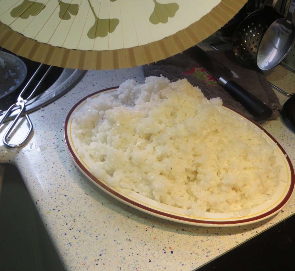 enfriado del arroz con un abanico